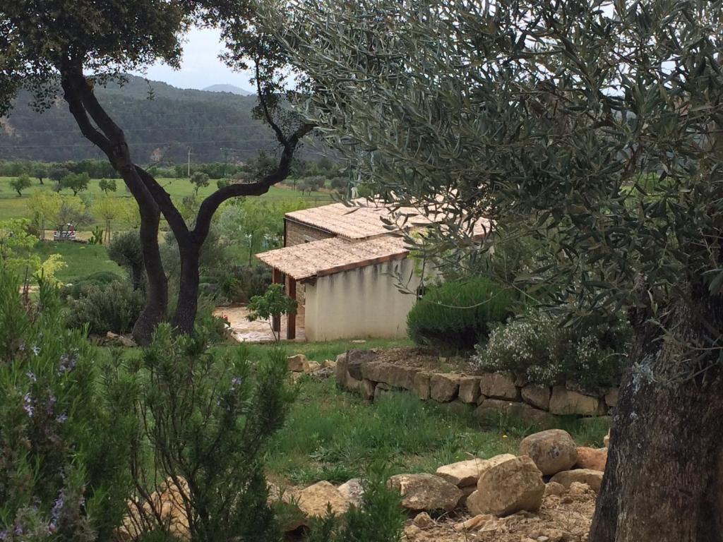 Alen D'Aragon Pensionat Santa Eulalia de Gállego Værelse billede